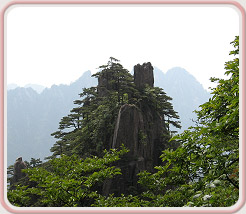 Lakeshore Acupuncture, LLC in St. Joseph, Michigan :: A Natural Bridge To Better Health