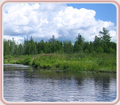 Lakeshore Acupuncture, LLC in St. Joseph, Michigan :: A Natural Bridge To Better Health