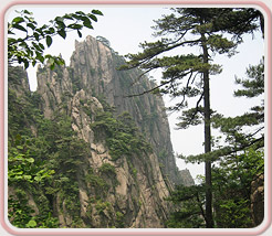 Lakeshore Acupuncture, LLC in St. Joseph, Michigan :: A Natural Bridge To Better Health