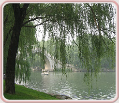 Lakeshore Acupuncture, LLC in St. Joseph, Michigan :: A Natural Bridge To Better Health