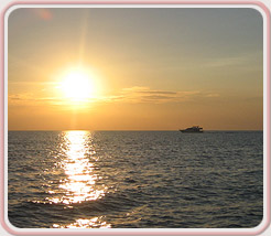 Lakeshore Acupuncture, LLC in St. Joseph, Michigan :: A Natural Bridge To Better Health