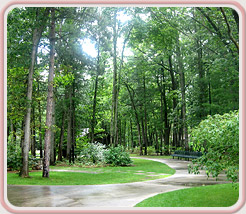 Lakeshore Acupuncture, LLC in St. Joseph, Michigan :: A Natural Bridge To Better Health