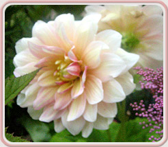 Lakeshore Acupuncture, LLC in St. Joseph, Michigan :: A Natural Bridge To Better Health