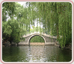 Lakeshore Acupuncture, LLC in St. Joseph, Michigan :: A Natural Bridge To Better Health